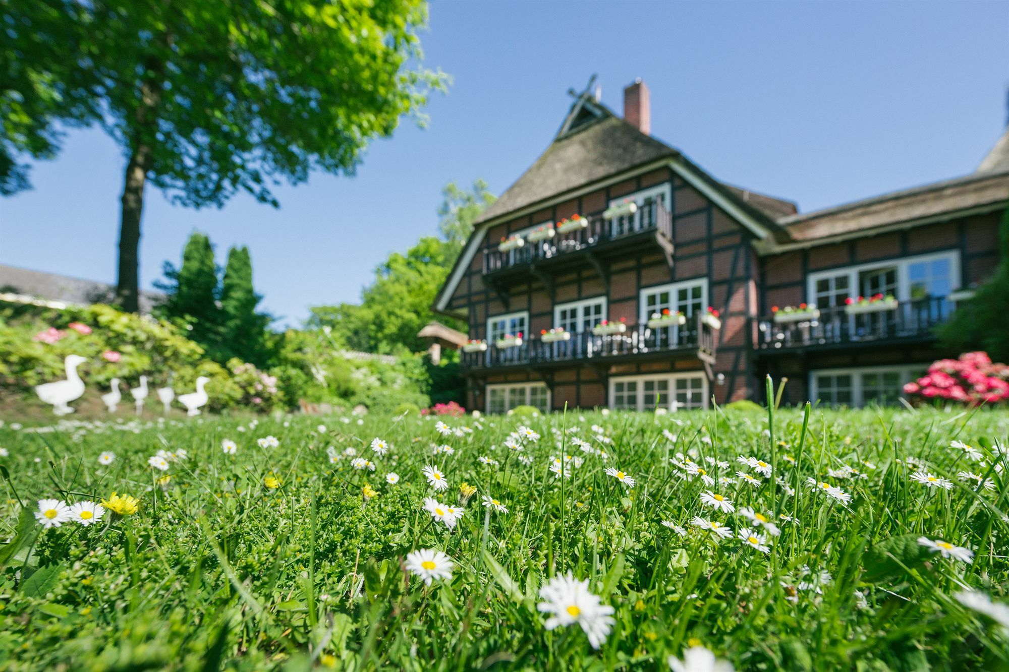 Hotel Landhaus Hoepen Schneverdingen Eksteriør bilde